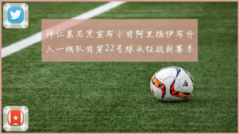 拜仁慕尼黑宣布小将阿里扬伊布升入一线队将穿22号球衣征战新赛季
