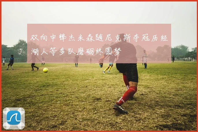 双向中锋杰米森随尼克斯夺冠历经湖人等多队磨砺终圆梦