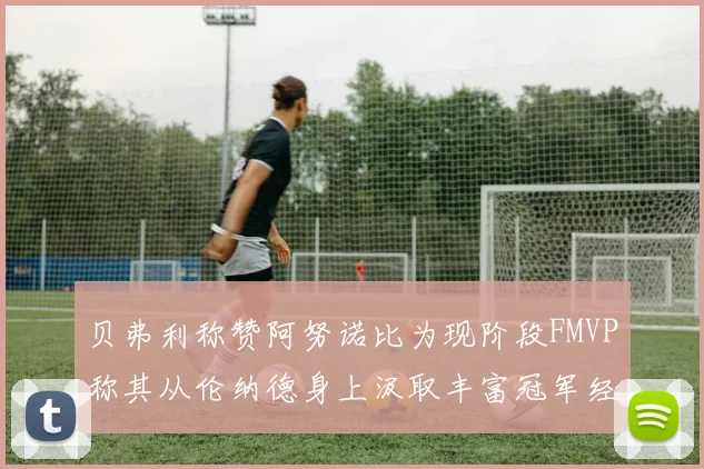 贝弗利称赞阿努诺比为现阶段FMVP称其从伦纳德身上汲取丰富冠军经验