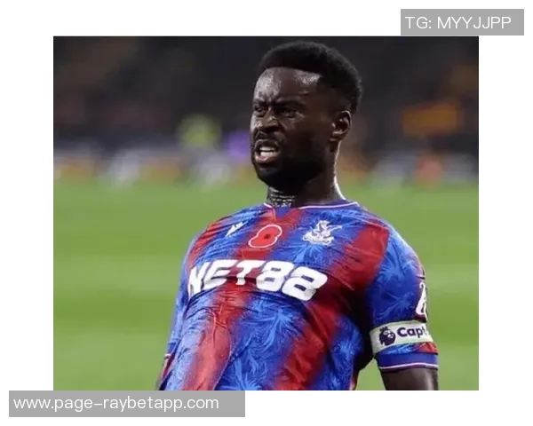 格伊向水晶宫确认将于明年离队格拉斯纳和罗马诺齐发声