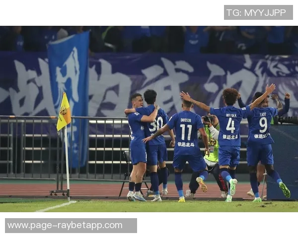 携手共进迎新篇章祝武汉三镇足球俱乐部12岁生日快乐